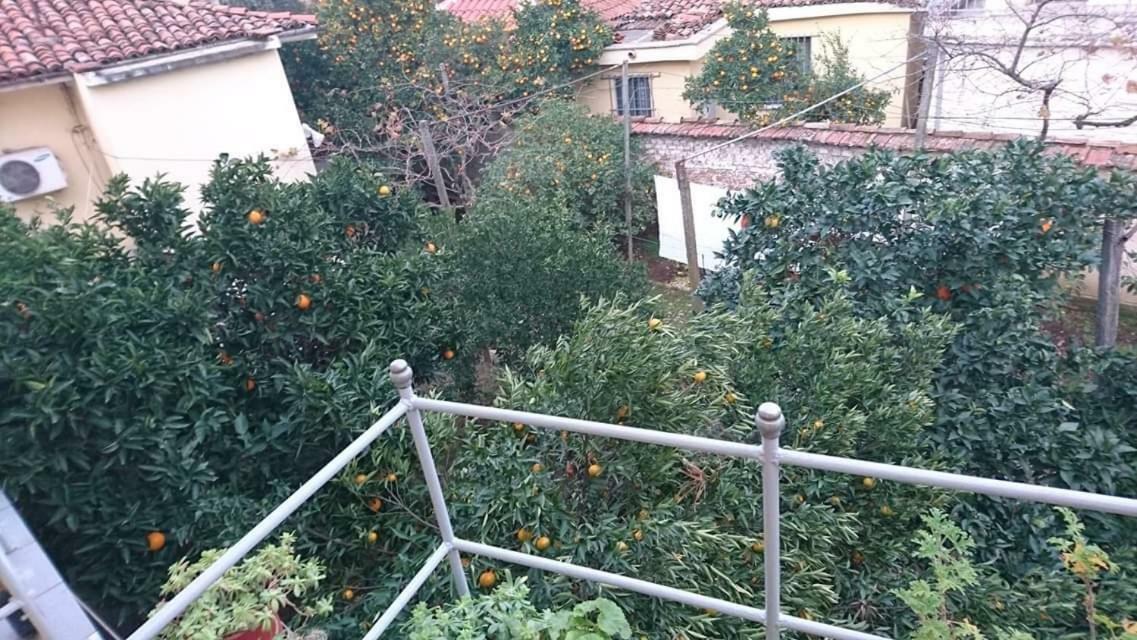 Orange Villa Hotel Tirana Kültér fotó